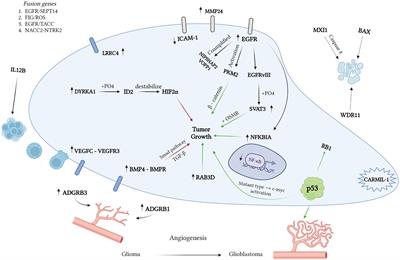 Insights into brain tumor diagnosis: exploring in situ hybridization techniques